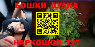 кокс Обь