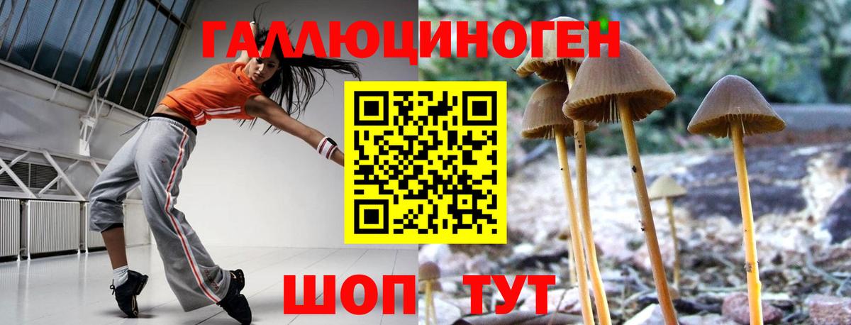 Псилоцибиновые грибы мухоморы Элиста