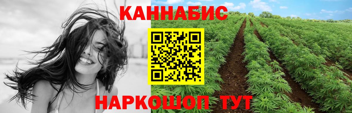 Конопля гибрид  Канабис Ganja  Канабис конопля  Вход с VPN  Элиста 